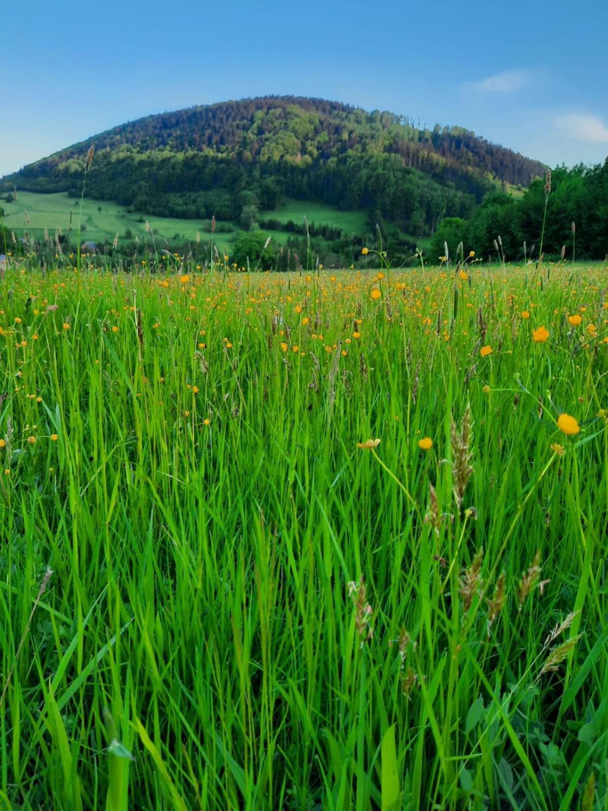 Domek Ostoja Lomnica  Zewnętrze zdjęcie
